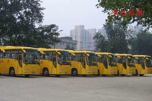 石家莊燕趙旅游汽車(chē)公司 汽車(chē)銷(xiāo)售新選擇，海量精選高清圖片庫(kù)助力決策